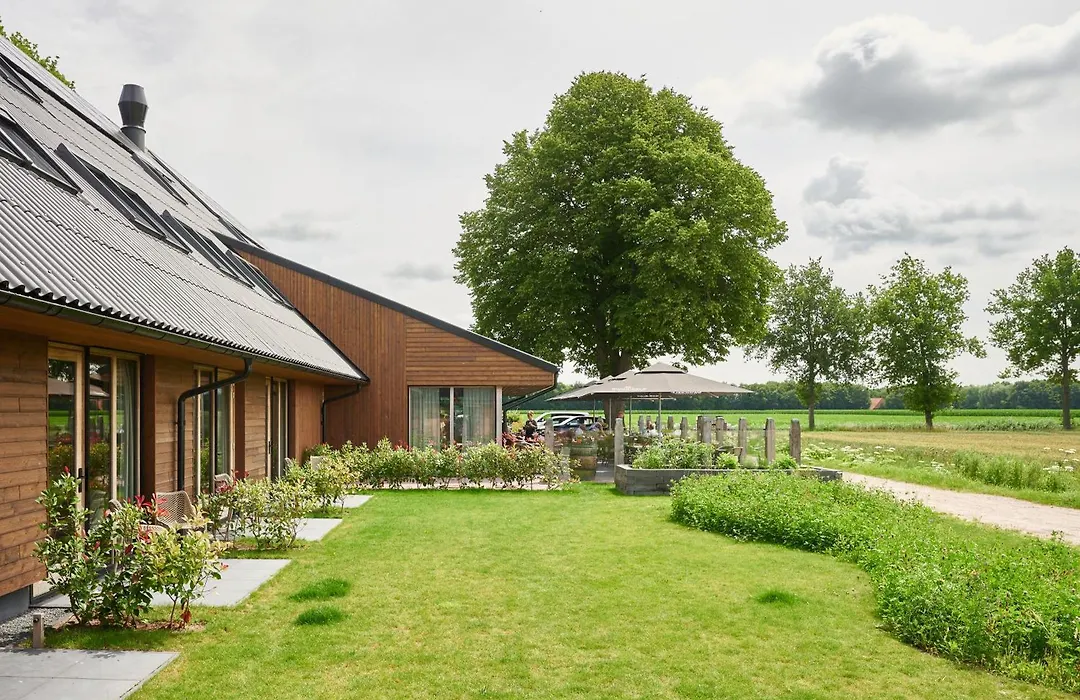 Het Witteveen-1